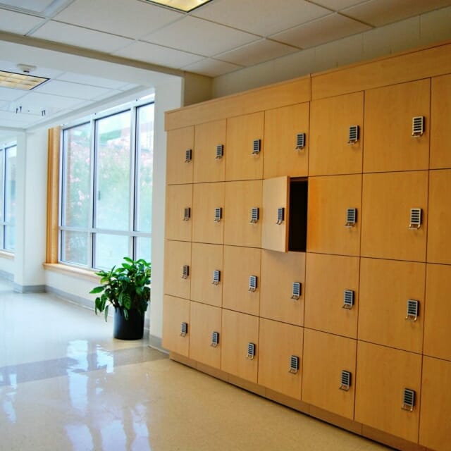 Hamilton Casework Laminate Day Use Lockers